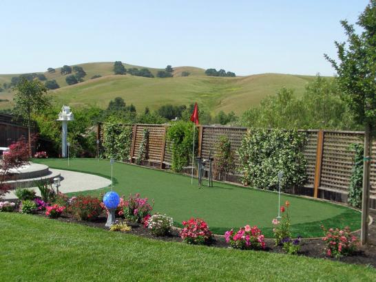 Artificial Grass Photos: Lawn Services Canby, Oregon Backyard Putting Green, Backyard Landscaping Ideas