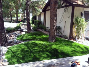 Artificial Grass Photos: Lawn Services Cascade Locks, Oregon, Front Yard Design