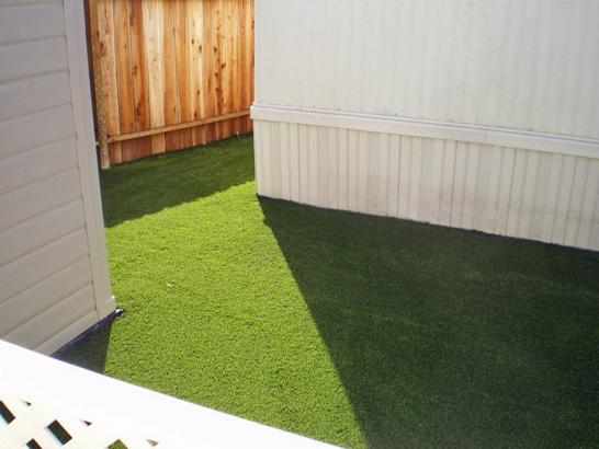 Artificial Grass Photos: Lawn Services Donald, Oregon Dog Running, Beautiful Backyards