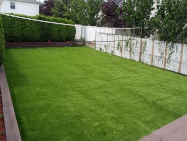 Artificial Grass Photos: Lawn Services Fossil, Oregon City Landscape, Backyard Design