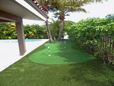 Artificial Grass Photos: Lawn Services Glide, Oregon Golf Green, Backyard Designs