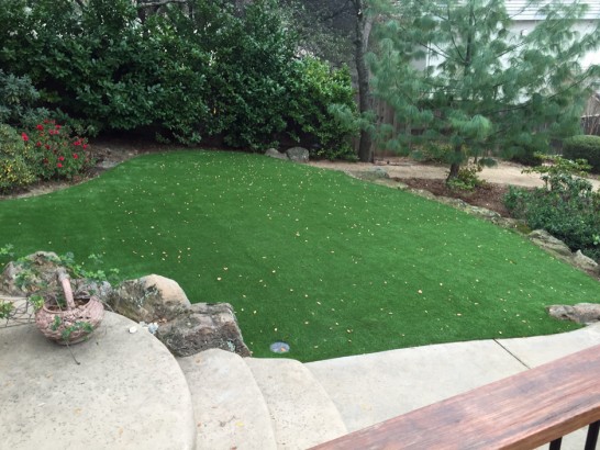 Artificial Grass Photos: Lawn Services Lincoln Beach, Oregon Landscape Photos, Backyard Ideas