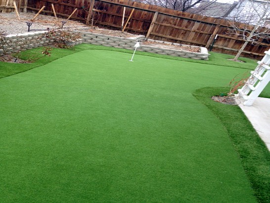 Artificial Grass Photos: Lawn Services Pacific City, Oregon Design Ideas, Backyard Landscape Ideas