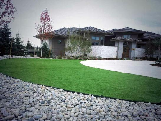 Artificial Grass Photos: Lawn Services Parkdale, Oregon Home And Garden, Front Yard Landscape Ideas