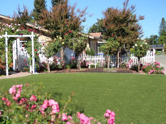 Artificial Grass Photos: Lawn Services Prineville, Oregon Landscape Design, Front Yard Landscaping