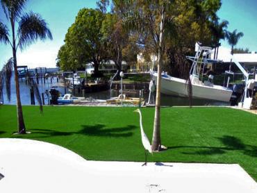 Artificial Grass Photos: Lawn Services Rivergrove, Oregon Landscape Photos, Small Backyard Ideas