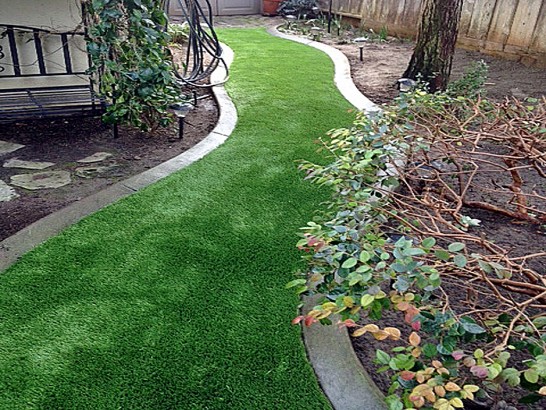 Artificial Grass Photos: Lawn Services Rose Lodge, Oregon Backyard Playground, Small Backyard Ideas