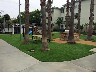 Artificial Grass Photos: Lawn Services Sheridan, Oregon Lawns, Commercial Landscape