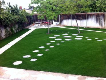 Artificial Grass Photos: Outdoor Carpet Bay City, Oregon Design Ideas, Backyard Designs