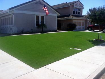 Artificial Grass Photos: Outdoor Carpet Camp Sherman, Oregon Landscape Photos, Front Yard