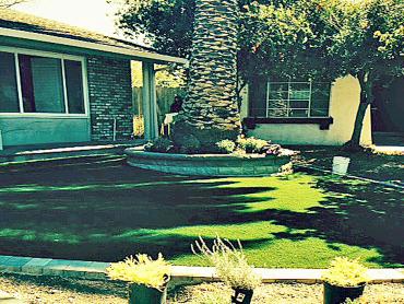 Artificial Grass Photos: Outdoor Carpet Clackamas, Oregon Backyard Playground, Front Yard