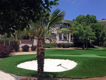 Artificial Grass Photos: Outdoor Carpet Estacada, Oregon Putting Green Turf, Front Yard Ideas