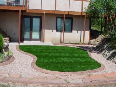 Artificial Grass Photos: Outdoor Carpet Gaston, Oregon Lawns, Front Yard Ideas