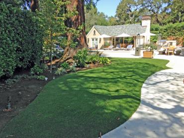 Artificial Grass Photos: Outdoor Carpet Halsey, Oregon Rooftop, Commercial Landscape