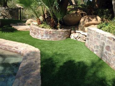 Artificial Grass Photos: Outdoor Carpet Idanha, Oregon Dog Run, Small Backyard Ideas