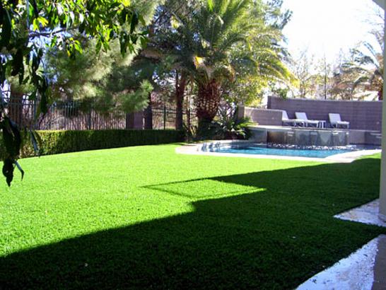 Artificial Grass Photos: Outdoor Carpet Myrtle Point, Oregon Gardeners, Above Ground Swimming Pool