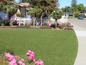 Artificial Grass Photos: Outdoor Carpet Rose Lodge, Oregon Lawn And Garden, Front Yard Landscaping