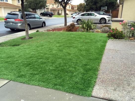 Artificial Grass Photos: Outdoor Carpet Saint Paul, Oregon Lawns, Front Yard Design