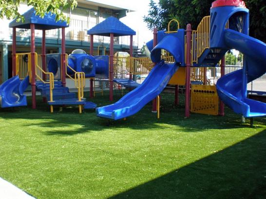 Artificial Grass Photos: Outdoor Carpet Scotts Mills, Oregon Rooftop, Commercial Landscape