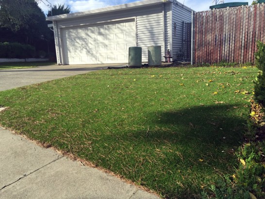 Artificial Grass Photos: Outdoor Carpet Seaside, Oregon Roof Top, Front Yard Ideas