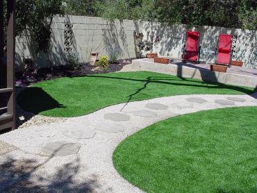 Artificial Grass Photos: Outdoor Carpet Springfield, Oregon Lawn And Garden, Backyard Design