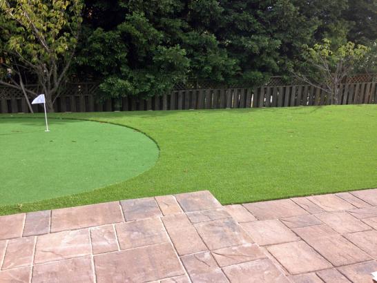 Artificial Grass Photos: Outdoor Carpet Stanfield, Oregon Putting Green, Backyard Landscaping