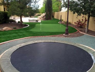 Artificial Grass Photos: Outdoor Carpet Three Rivers, Oregon Athletic Playground, Backyards