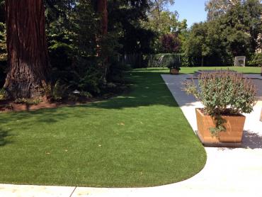 Artificial Grass Photos: Outdoor Carpet Toledo, Oregon Home And Garden, Front Yard Ideas