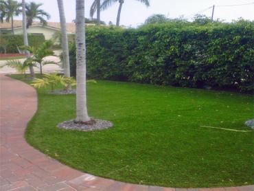 Artificial Grass Photos: Outdoor Carpet Tumalo, Oregon Lawn And Landscape, Front Yard Design