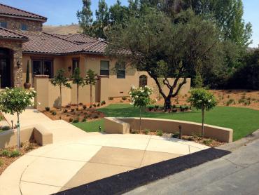 Artificial Grass Photos: Outdoor Carpet West Haven, Oregon Rooftop, Small Front Yard Landscaping