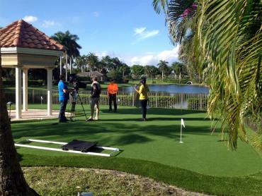 Artificial Grass Photos: Outdoor Carpet West Linn, Oregon Home Putting Green, Backyard Landscaping