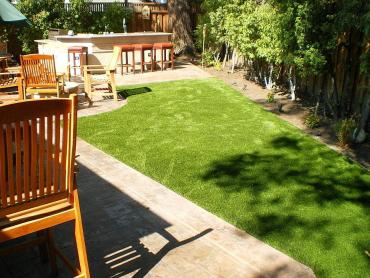 Artificial Grass Photos: Outdoor Carpet West Scio, Oregon Artificial Turf For Dogs, Backyard Garden Ideas