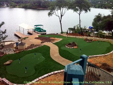 Artificial Grass Photos: Plastic Grass Cedar Hills, Oregon Landscape Design, Backyard