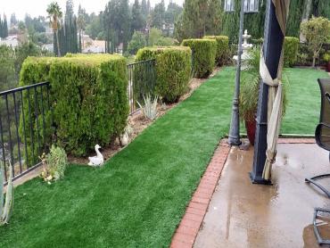 Artificial Grass Photos: Plastic Grass Dallas, Oregon Backyard Playground, Backyard Design