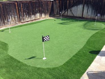 Artificial Grass Photos: Plastic Grass Deer Island, Oregon Lawn And Garden, Backyard Garden Ideas