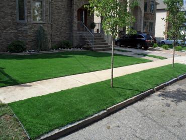 Artificial Grass Photos: Plastic Grass Fair Oaks, Oregon Gardeners, Front Yard Landscape Ideas