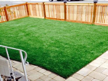 Artificial Grass Photos: Plastic Grass Forest Grove, Oregon Design Ideas, Backyard