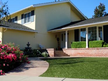 Artificial Grass Photos: Plastic Grass Garibaldi, Oregon Rooftop, Front Yard Landscape Ideas