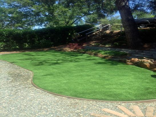 Artificial Grass Photos: Plastic Grass Lookingglass, Oregon Lawns, Backyard Landscaping Ideas