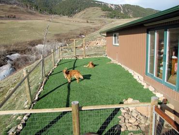 Artificial Grass Photos: Plastic Grass Mount Hood Village, Oregon Artificial Grass For Dogs, Backyard Landscaping Ideas