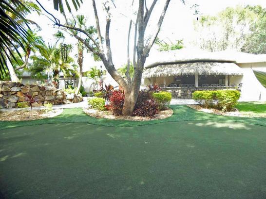 Artificial Grass Photos: Plastic Grass North Plains, Oregon Putting Green Grass, Commercial Landscape