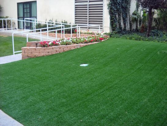 Artificial Grass Photos: Plastic Grass Oak Hills, Oregon Backyard Putting Green, Front Yard Design