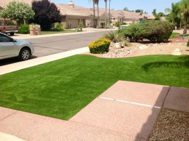 Artificial Grass Photos: Plastic Grass South Lebanon, Oregon Lawn And Landscape, Front Yard Landscaping