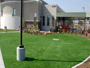 Artificial Grass Photos: Plastic Grass Turner, Oregon Paver Patio, Commercial Landscape