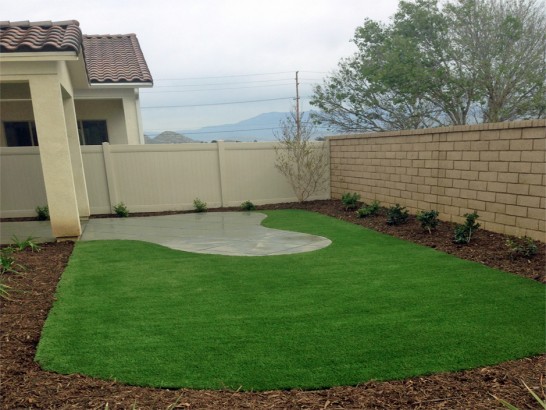 Artificial Grass Photos: Plastic Grass Tygh Valley, Oregon Garden Ideas, Backyard Design