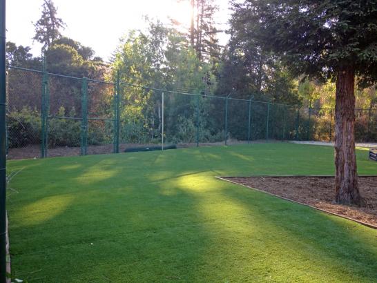 Artificial Grass Photos: Plastic Grass West Haven, Oregon Landscape Photos, Parks