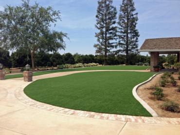 Artificial Grass Photos: Plastic Grass Yamhill, Oregon Lawn And Garden, Front Yard Ideas