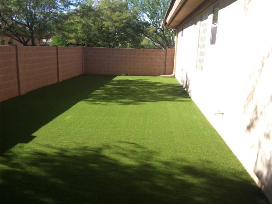 Artificial Grass Photos: Synthetic Grass Biggs Junction, Oregon Lawn And Landscape, Backyards