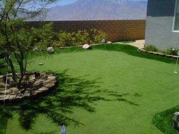 Artificial Grass Photos: Synthetic Grass Cedar Mill, Oregon Roof Top, Small Backyard Ideas