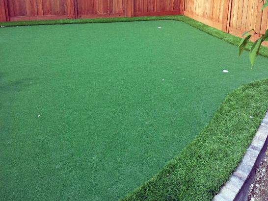 Artificial Grass Photos: Synthetic Grass Cost Cedar Mill, Oregon Putting Green Turf, Backyards